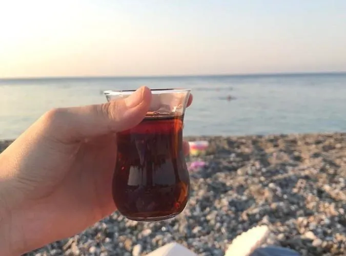 Beylikduzu Gunluk Kiralik Daire * Stambuł